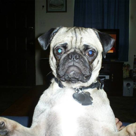 Meet your Posher, Kevin - Picture 1 of 1